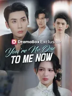 You’re No One to Me Now poster