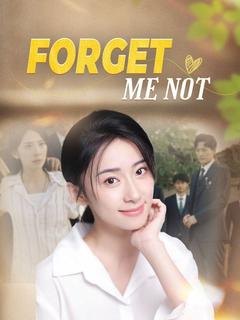 Forget Me Not poster