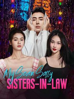 My Seven Sassy Sisters-in-Law poster