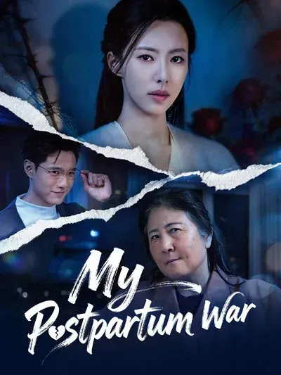 My Postpartum War poster