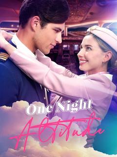 One Night Altitude poster