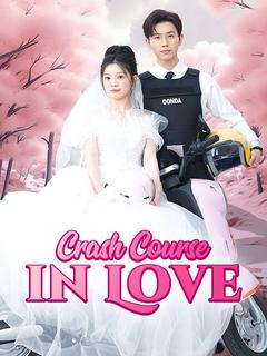 Crash Course in Love poster