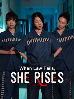 When Law Fails, She Rises poster
