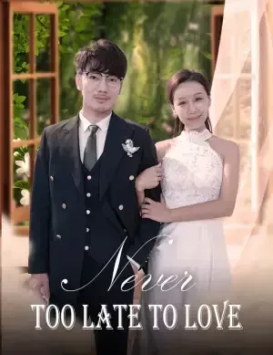 Never Too Late to Love poster
