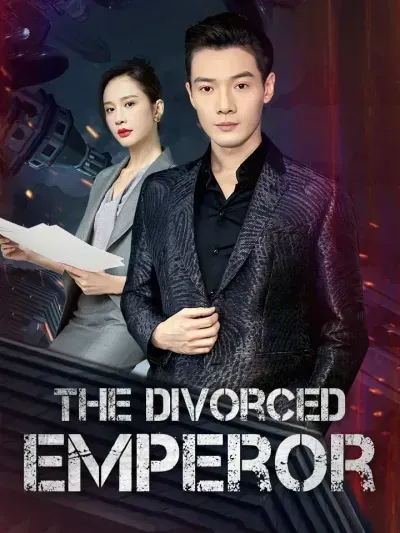 The Divorced Lord Of The Night poster