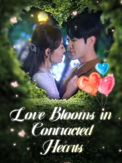Love Blooms in Contracted Hearts poster