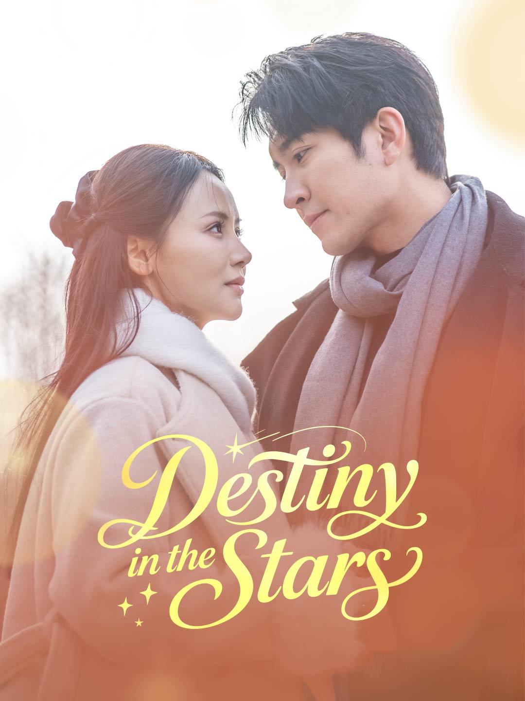 Destiny in the Stars poster