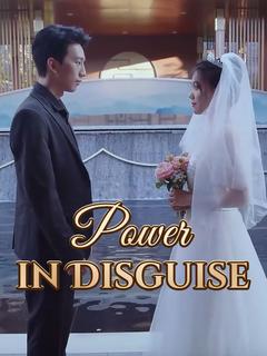 Power in Disguise poster
