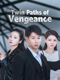 Twin Paths of Vengeance poster