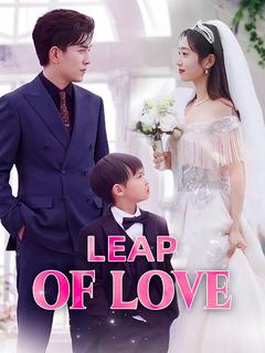 Leap of Love poster