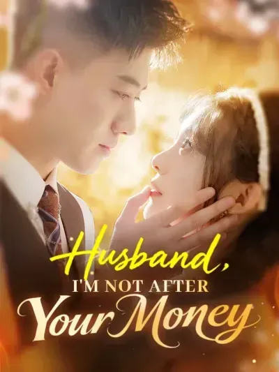 Husband, I’m Not After Your Money poster