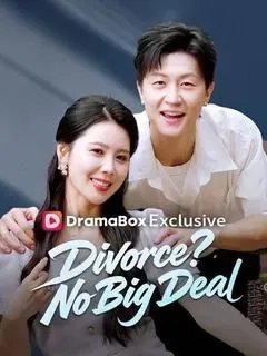 Divorce? No Big Deal poster