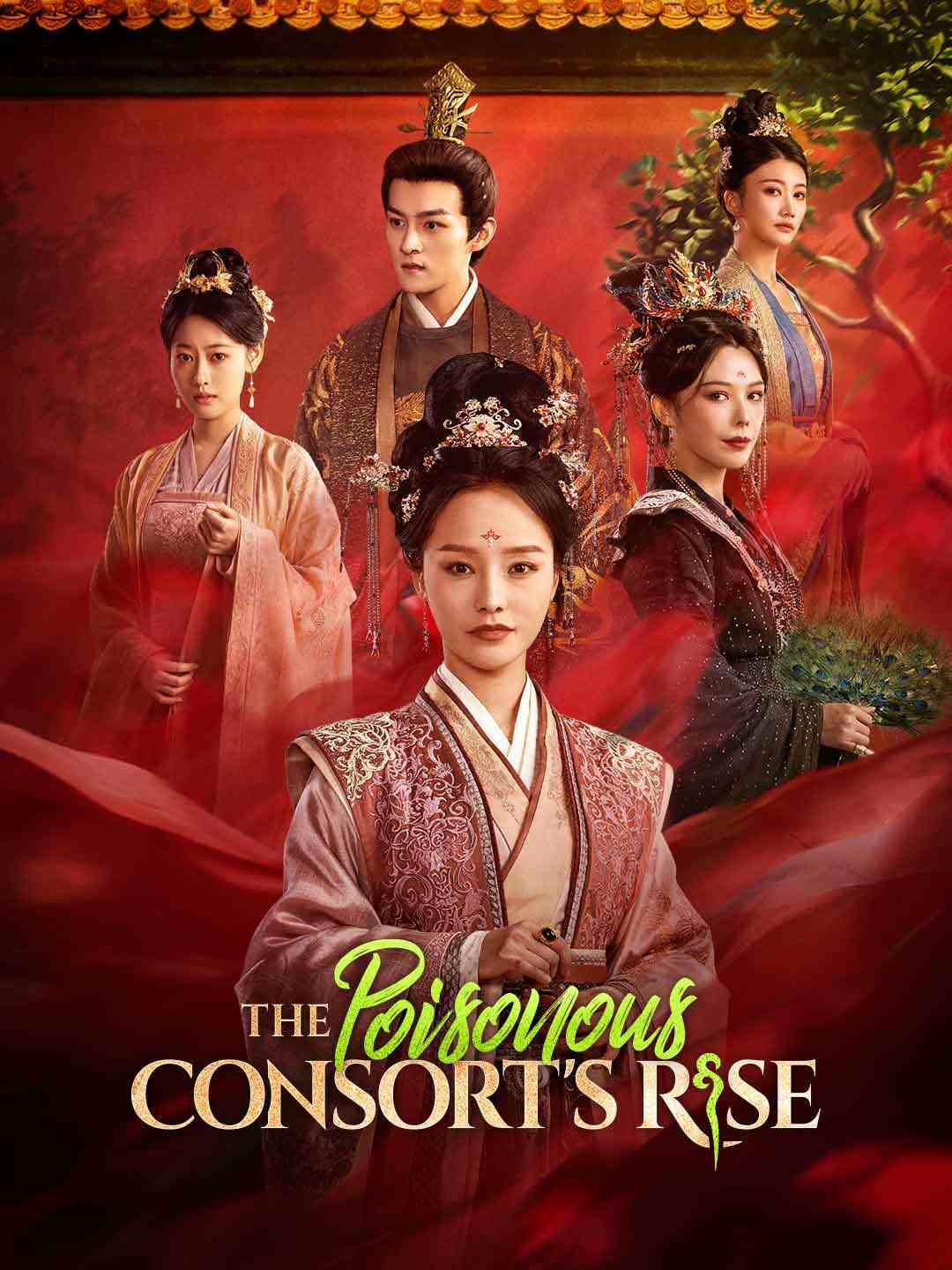 The Poisonous Consort's Rise poster