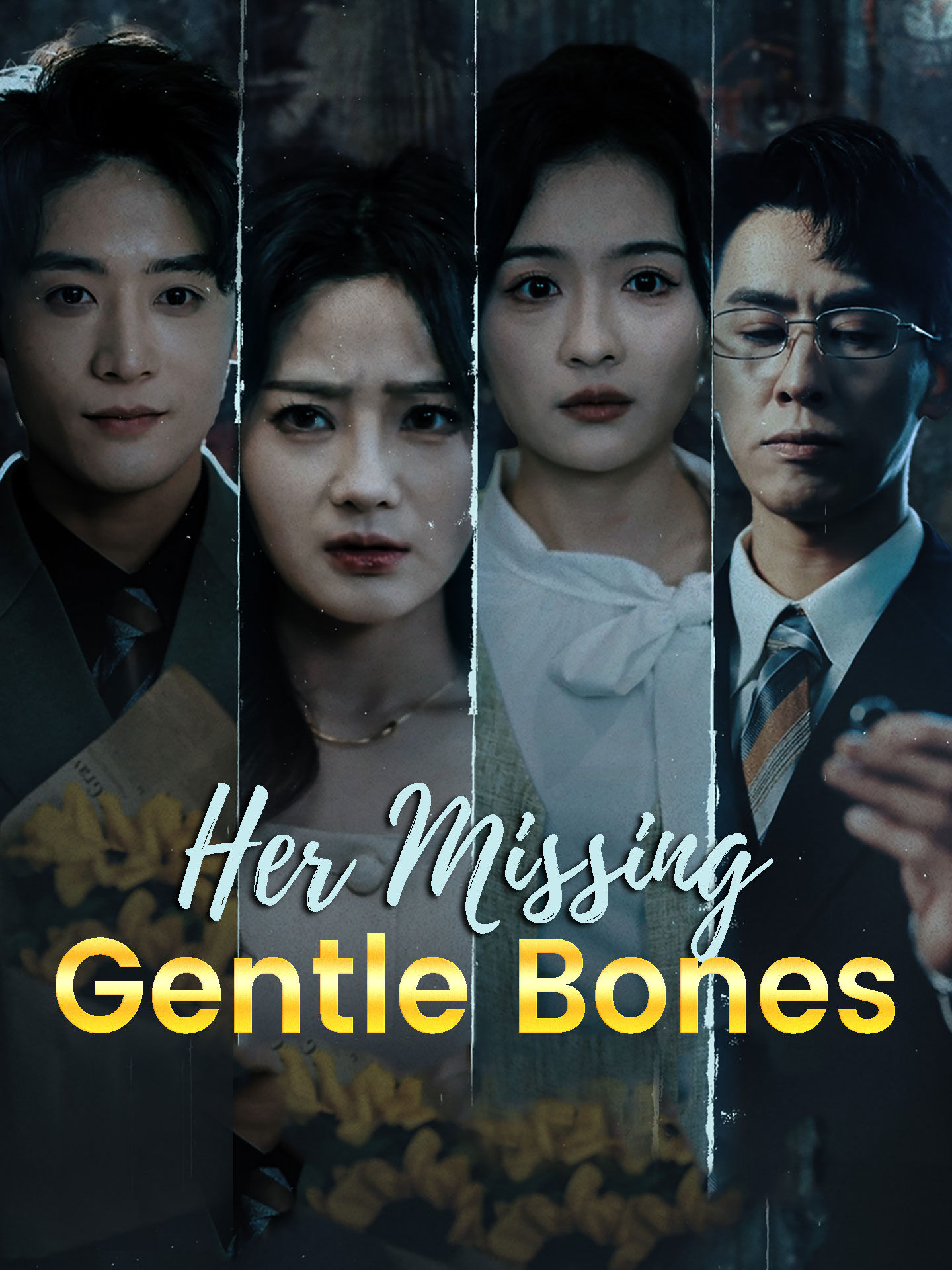 Her Missing Gentle Bones poster