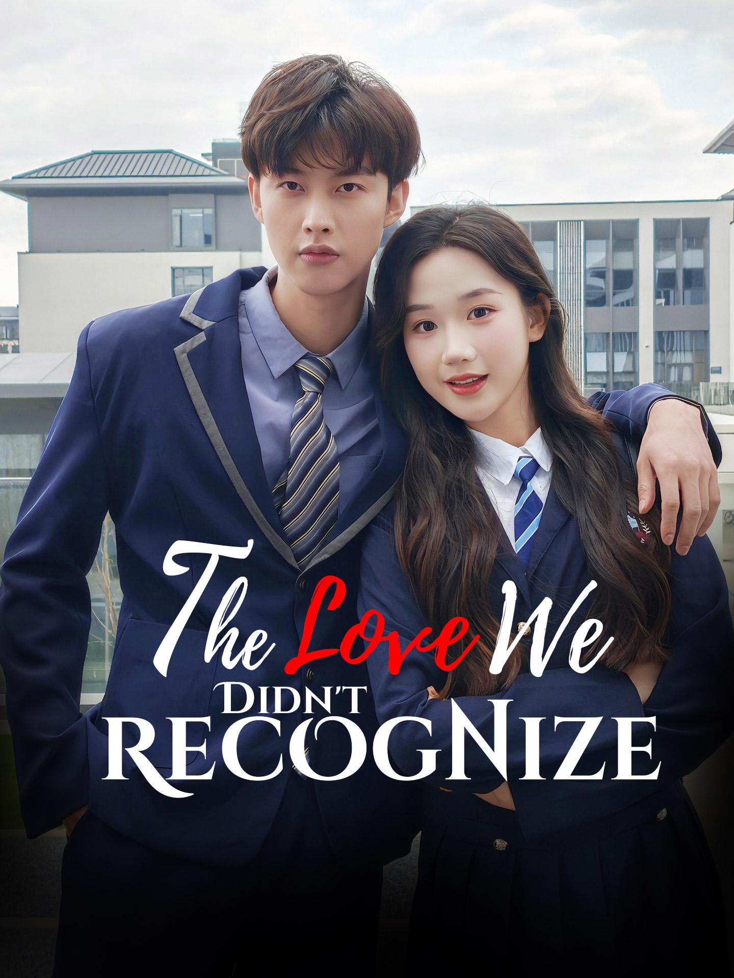 The Love We Didn't Recognize poster