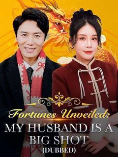 Fortunes Unveiled: My Husband Is a Big Shot（DUBBED） poster