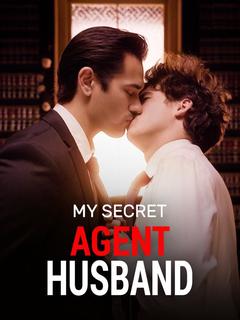 My Secret Agent Husband poster