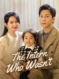 The Intern Who Wasn't poster