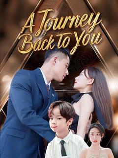 A Journey Back to You poster