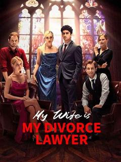 My Wife is My Divorce Lawyer poster