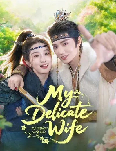 My Delicate Wife poster