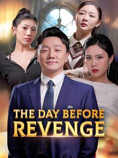 The Day Before Revenge poster