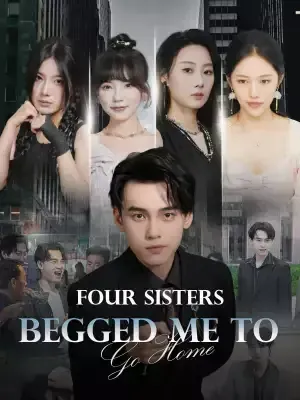 Four Sisters Begged Me to Go Home poster