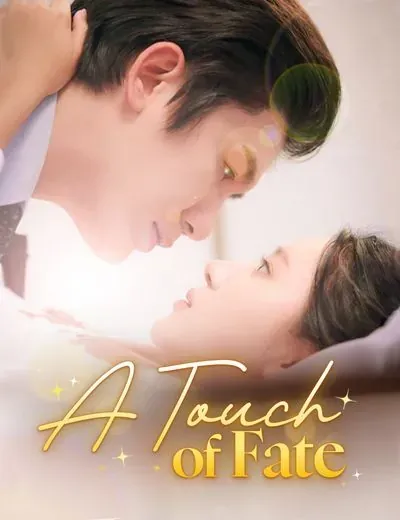 A Touch of Fate poster