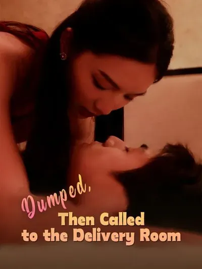 Dumped, Then Called to the Delivery Room poster