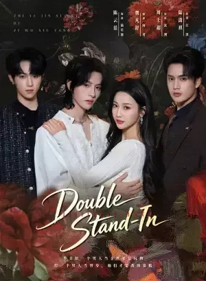 Double Stand-In poster