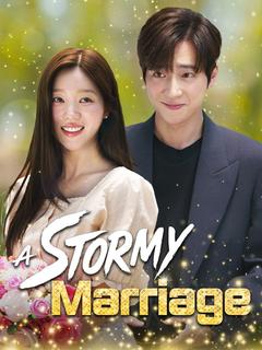 A Stormy Marriage poster