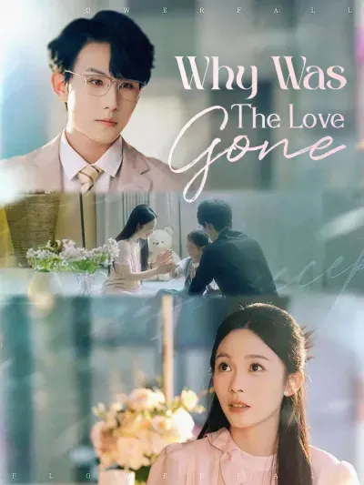 Why Was The Love Gone poster
