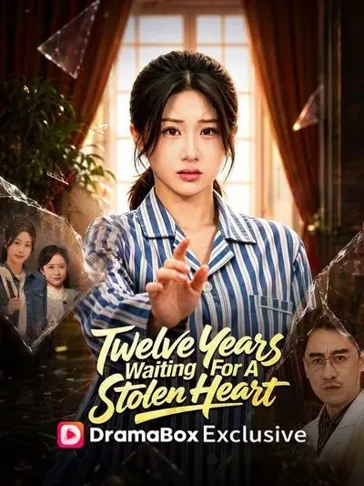 Twelve Years Waiting For A Stolen Heart poster