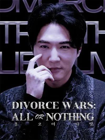Divorce Wars: All or Nothing poster