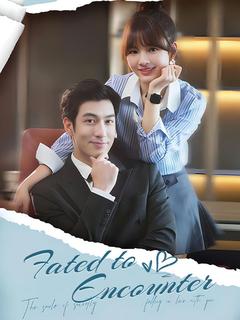 Fated to Encounter poster