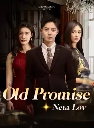 Old Promise, New Love poster