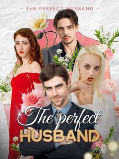 The Perfect Husband poster