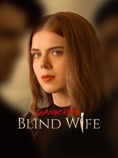 Dangerous Blind Wife poster