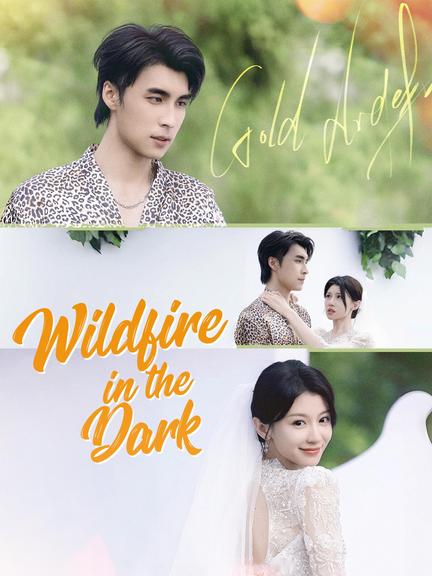 Wildfire in the Dark poster