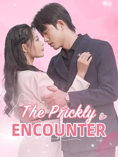 The Prickly Encounter poster