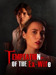 Temptation of the  Ex-Wife poster
