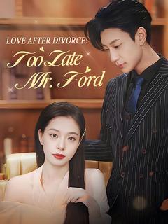 Love After Divorce: Too Late, Mr. Ford! poster