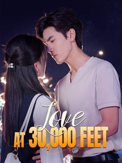 Love at 30,000 Feet poster