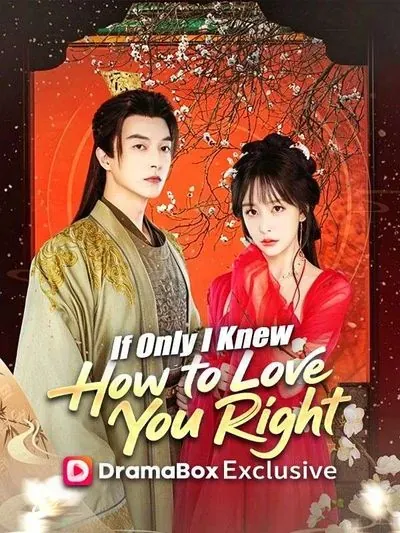 If Only I Knew How to Love You Right poster