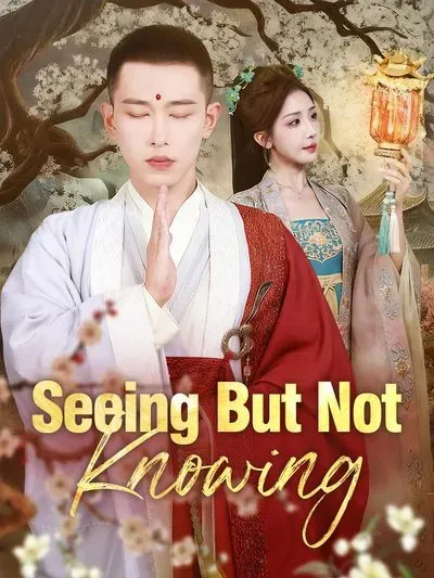 Seeing but Not Knowing poster