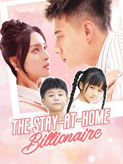 The Stay-at-Home Billionaire poster
