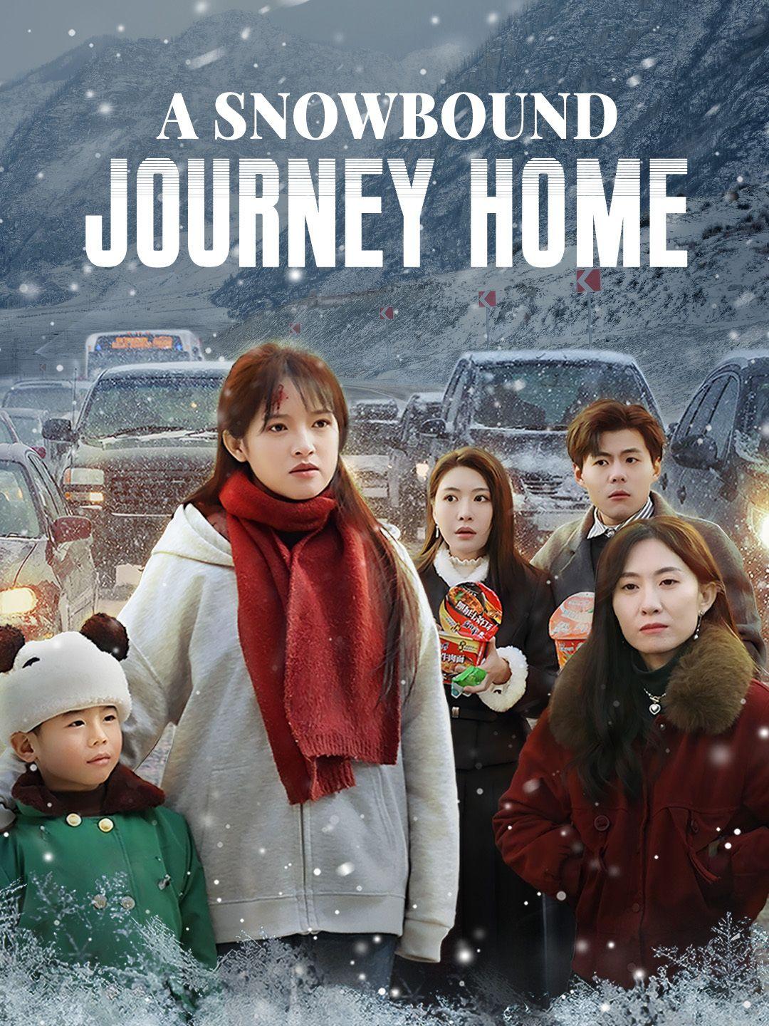 A Snowbound Journey Home poster