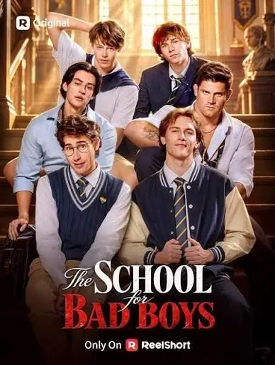 The School for Bad Boys poster