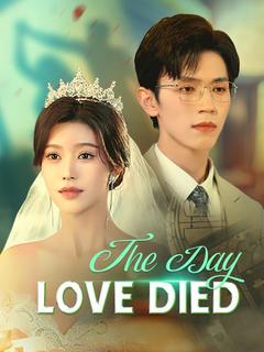 The Day Love Died poster