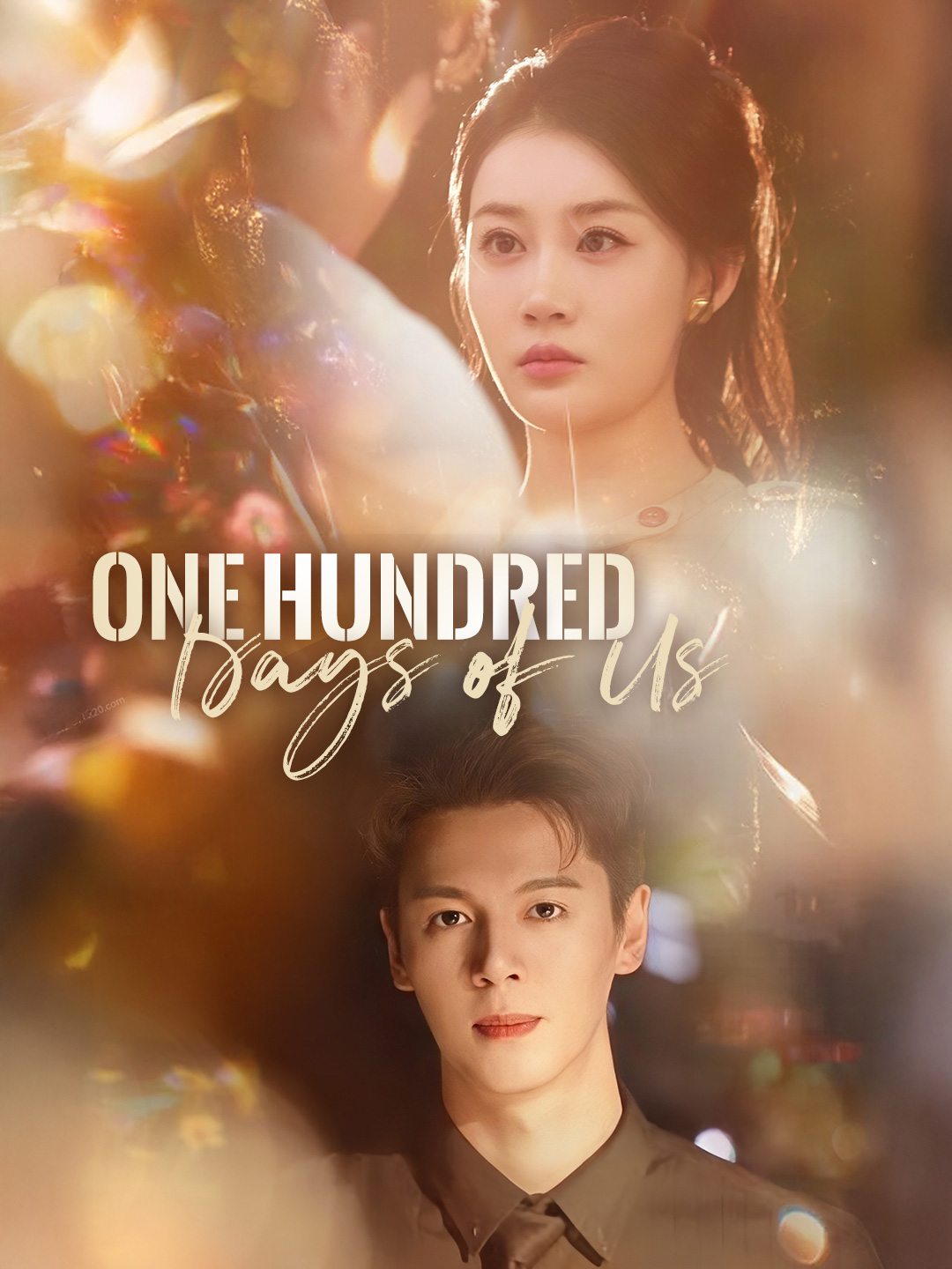 One Hundred Days of Us poster